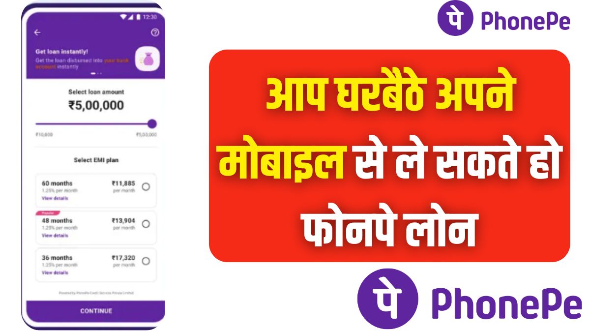 PhonePe Loan Process